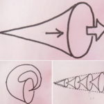 時間を外した日と宇宙の構造