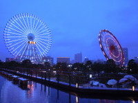 横浜なんじゃもんじゃ
