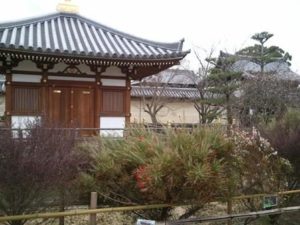 法華寺～海龍王寺　散策（気晴らしの休診日）