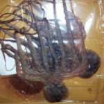 2012年、秋の教え(笑)