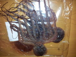 ２０１２年、秋の教え(笑)