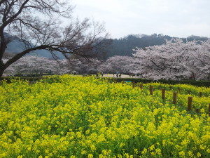 愛をみつける ～シャングリラ・セラピー～