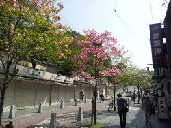 イノベーター（時代を変革するもの）～軍資金ゲットの話～