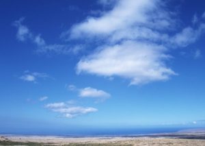 真実とは何か?~所変われば品変わる~