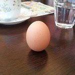 さらにどうでもよい話