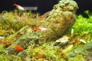 幸せなお産をしよう