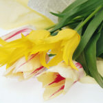 最初で最後の不特定一本勝負! ”遠隔ディクシャのお知らせ”