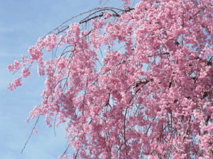 究極のワンネスのお話