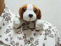 You’ve Got A Friend～君のともだち～