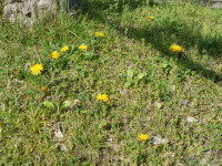 僕が医局をクビになったわけ～当たりだけどハズレ～