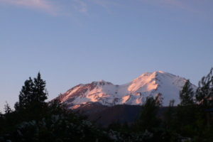 「シャングリラからの伝言」が誕生するまで