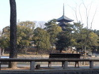 Living in this city～奈良に住むということ～