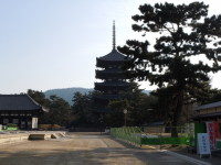 興福寺 興福寺