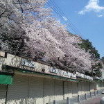 未来を思い出す~Thinking of You~