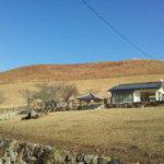 初詣と白浜温泉と金杯