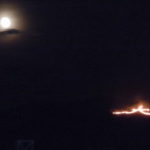 Poor Bears ~可哀想な熊たち~