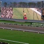 菊の季節にサクラ散る ~敗戦の将、多くを語るの巻(笑)~