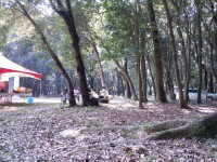奈歯会運動会2011 奈歯会運動会2011