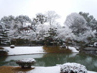 雪の平等院 雪の平等院