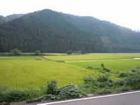 食事処の前はこんな風景