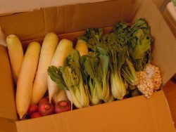 ２０１２年はどんな年か？