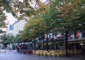 医者は癌を治せるか？